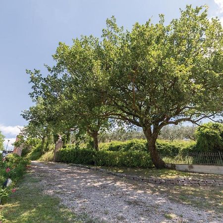 Amazing Apartment In Giano Dellumbria Pg Giano dellʼUmbria Esterno foto